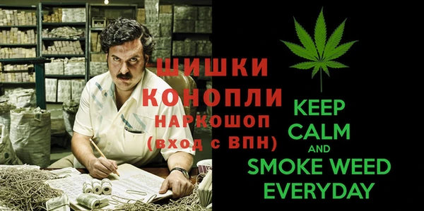 ГАЛЛЮЦИНОГЕННЫЕ ГРИБЫ Магас
