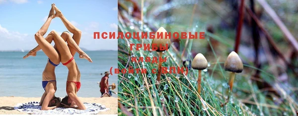 MESCALINE Магадан