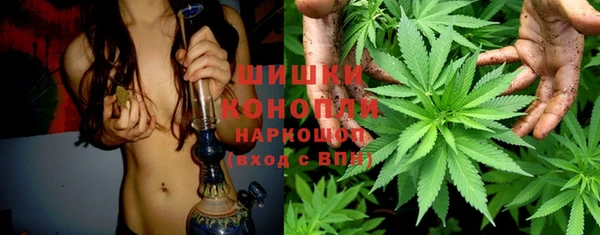 спиды Липки