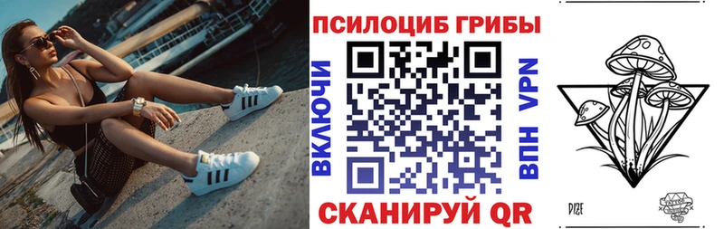 купить закладку  мега зеркало  нарко площадка Telegram  Ковылкино  Галлюциногенные грибы Psilocybe 
