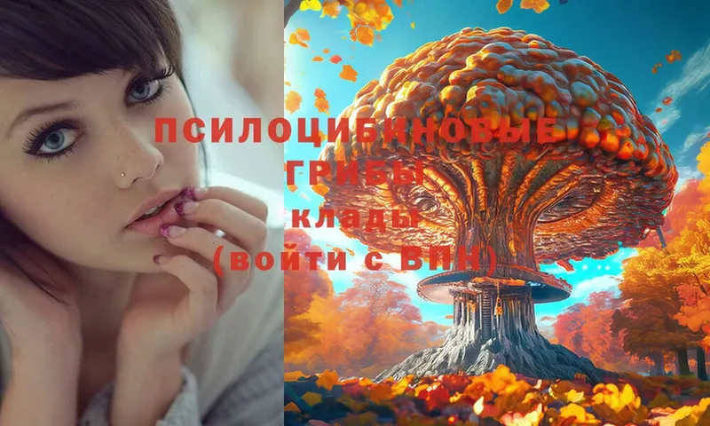 Псилоцибиновые грибы Psilocybe  Ковылкино 